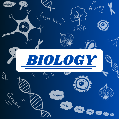 Biology 2nd year solved papers